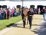 NH220326-19 - Thewoodcorner